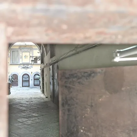 Guest house Domus 19 3*