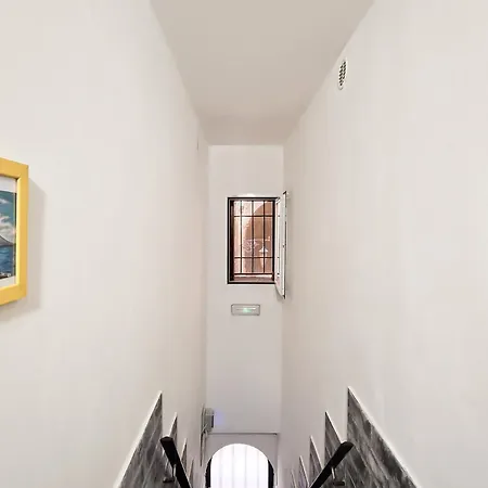 Guest house Domus 19