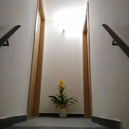 Domus 19 招待所 3*